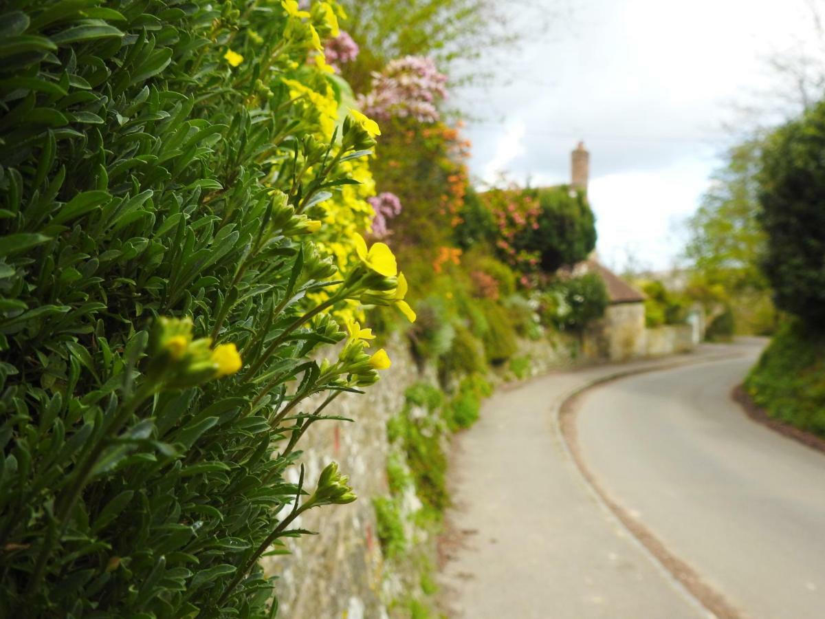 Church Combe - Petworth West Sussex Esterno foto