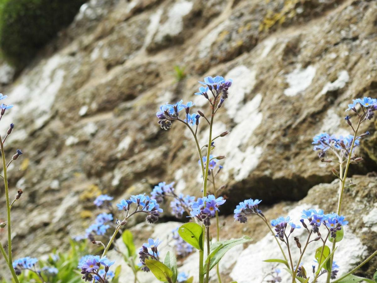 Church Combe - Petworth West Sussex Esterno foto